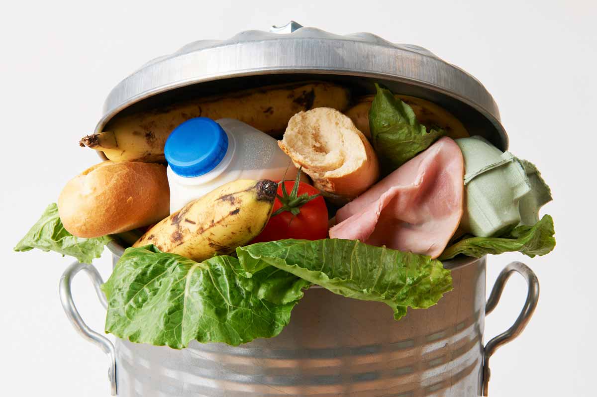 Image of fresh food in garbage can to illustrate food waste