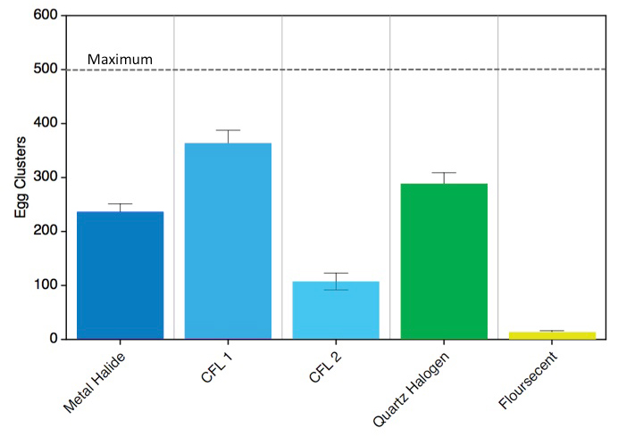 Data from Philip Taylor's hatchery experiment, illustrating effect of light on black soldier fly reproduction.