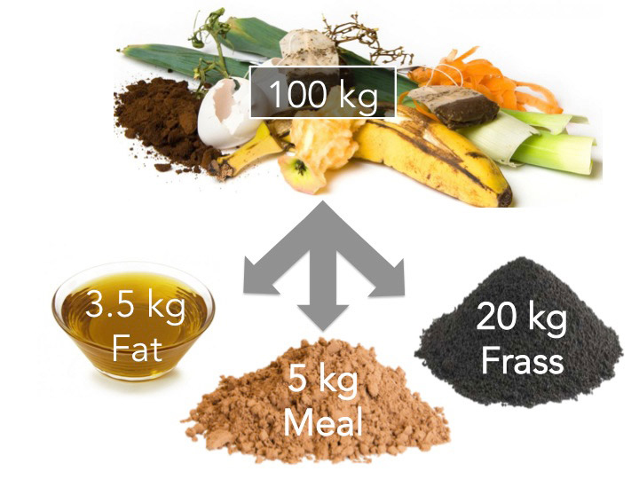 Graphic illustrating black soldier fly conversion of food waste into fat, meal, and frass. The image shows that 100 kg of food waste yields 3.5 kg of fat, 5 kg of meal, and 20 kg of frass.