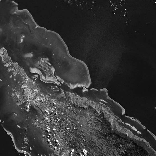 Black and white satellite image of coral reef near New Caledonia.
