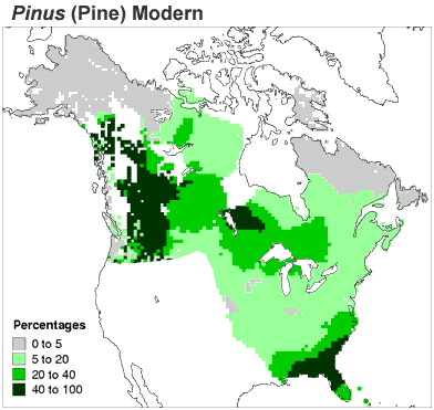 Map of North American distribution of pine in the present