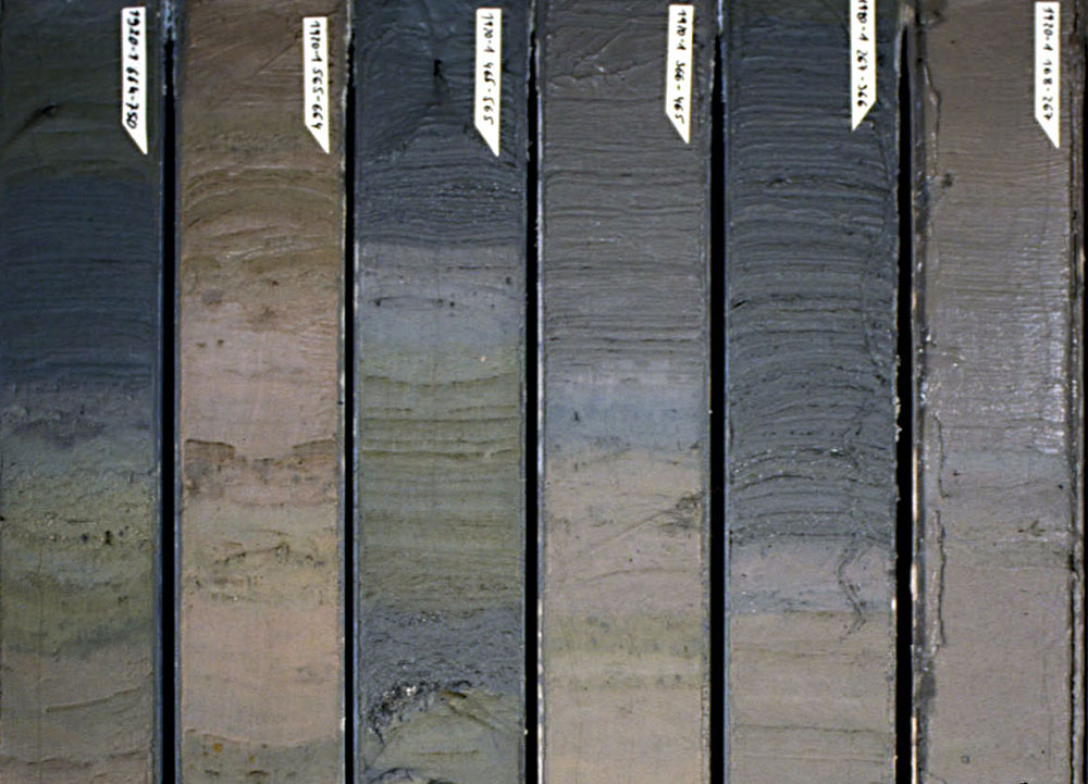 Image of sediment cores