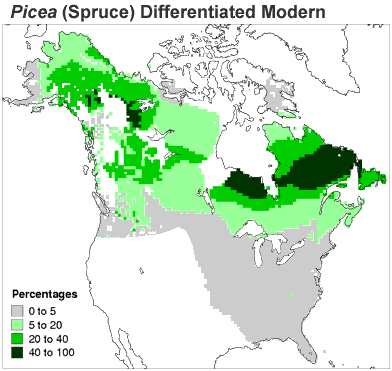Map of North American distribution of spruce in the present