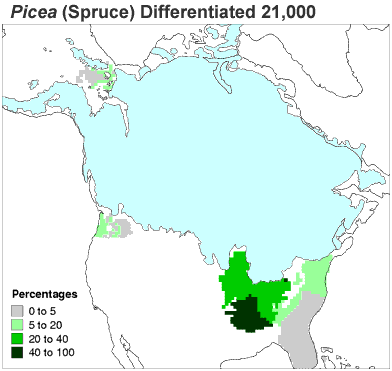 Animation of North American spruce distribution from 21,000 years ago to the present