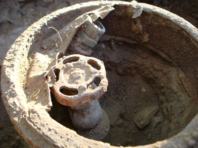 Uploaded Image