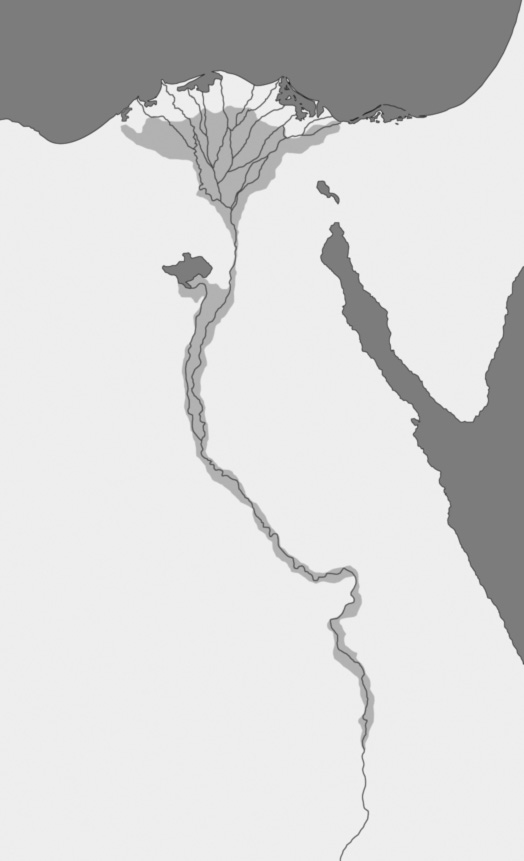 Uploaded Image