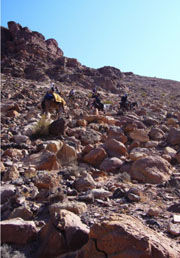 Uploaded Image