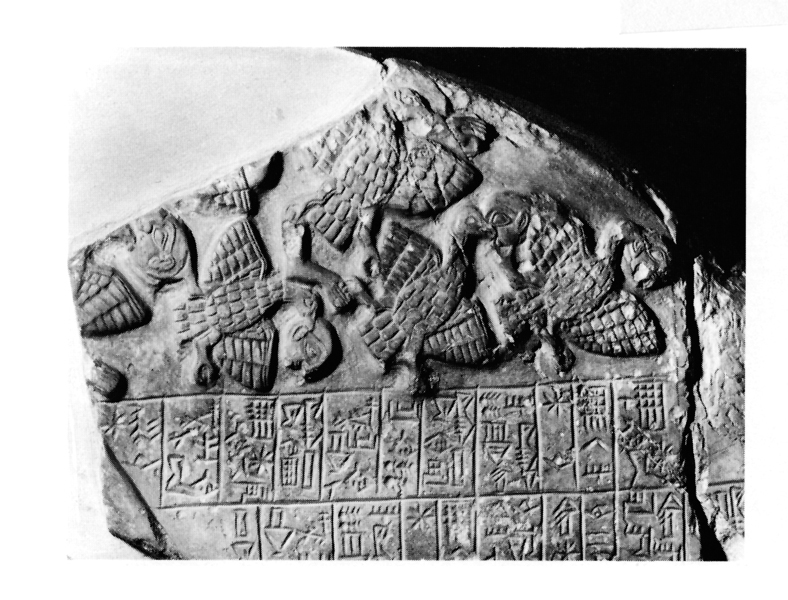 Stele7