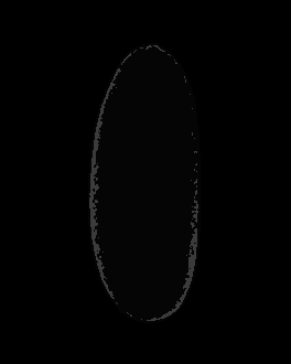 Time lapse of a Drosophila embryo developing, ten scanning electron micrographs dissolved into one another